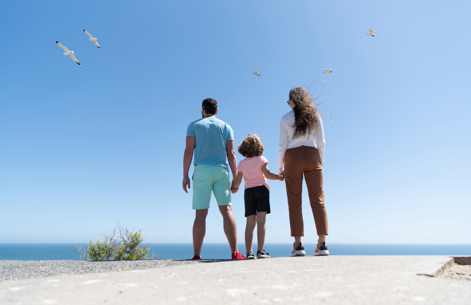 Education Planning Management | Boss Financial Strategies